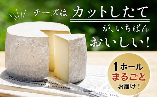 ASUKAのチーズ工房 ホールチーズ1kg MKWA002