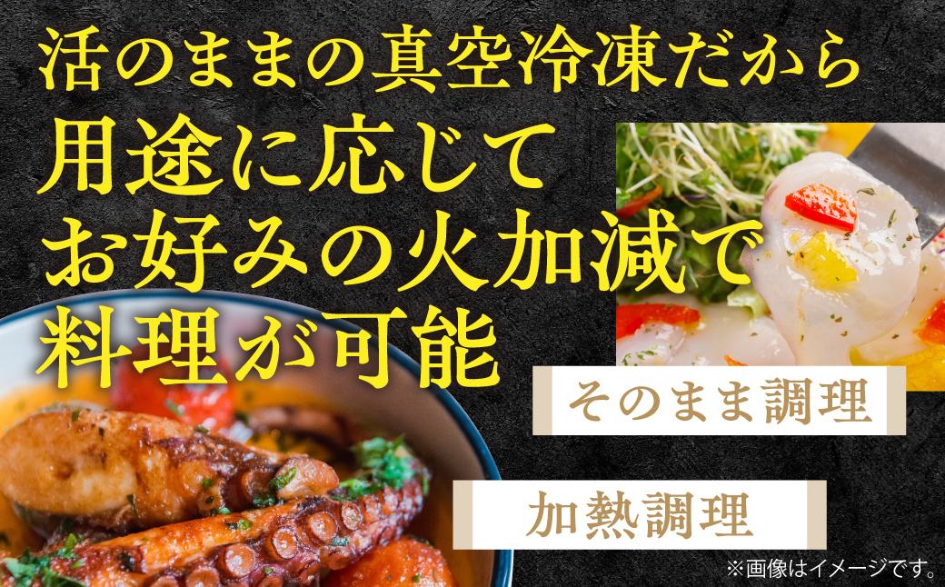 魴。蟾晄シ∝鵠逋コシ∵エサ豌エ逕溯嶌雜ウ蜀キ蜃搾シ育エ1kgシ MKWV004