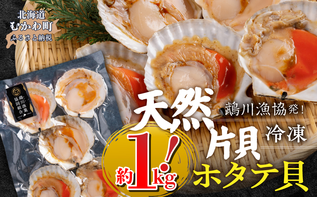 鵡川漁協発！天然片貝冷凍ホタテ貝（約1kg） MKWV005