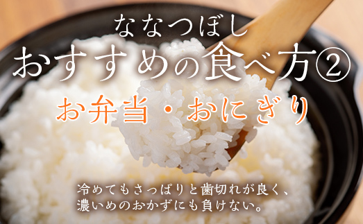 【令和6年産 新米】 ななつぼし 精米 10kg MKWF009