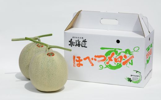 ＜2025年発送先行受付＞ほべつメロン2玉(約1.6kg×2玉)＜むかわ町穂別特産品＞ MKWR002