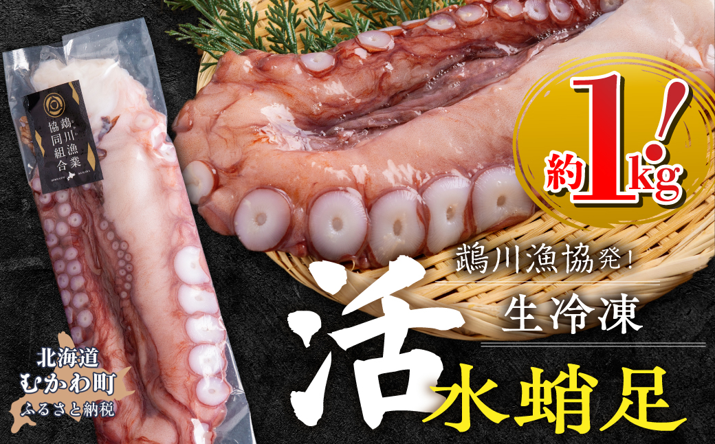 魴。蟾晄シ∝鵠逋コシ∵エサ豌エ逕溯嶌雜ウ蜀キ蜃搾シ育エ1kgシ MKWV004