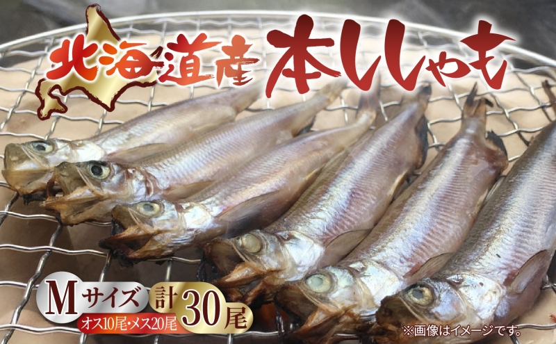 北海道産 阿部水産 ししゃも M 30尾セット 本ししゃも 雄 雌 オス メス 魚卵 卵 たまご タマゴ子持ち 北海道土産 季節限定 ほくほく 子魚 無添加 クール便 冷凍 送料無料 北海道 日高町