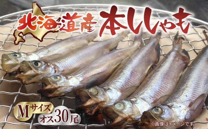 北海道産 阿部水産 ししゃも M 30尾セット 本ししゃも 雄 オス 魚卵 卵 北海道土産 季節限定 ほくほく 子魚 無添加 クール便 冷凍 送料無料 北海道 日高町