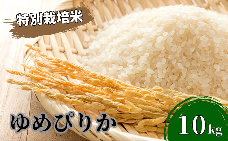 北海道 日高【田中農園】R6年産 ゆめぴりか 10kg 特別栽培米