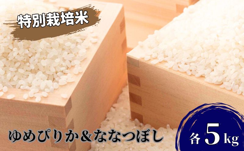 北海道 日高【田中農園】R6年産 ゆめぴりか ＆ ななつぼし 各5kg 食べ比べ セット 特別栽培米