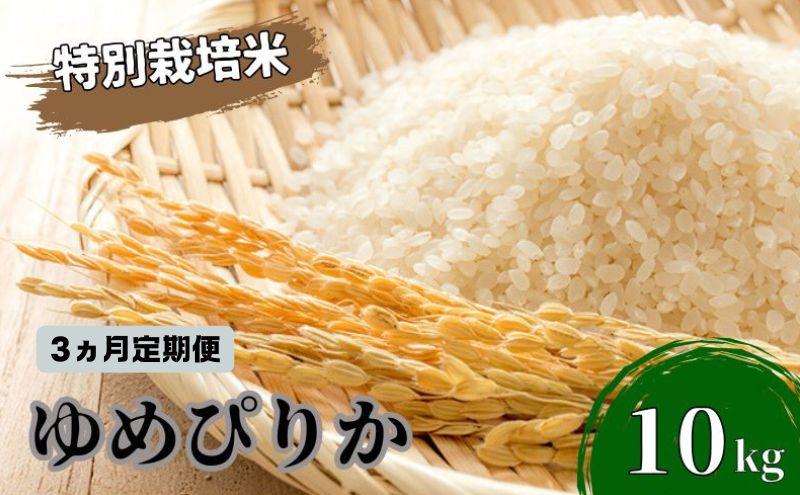 ◆3ヵ月連続お届け お米の定期便◆北海道日高【田中農園】R6年産 ゆめぴりか 10kg 特別栽培米