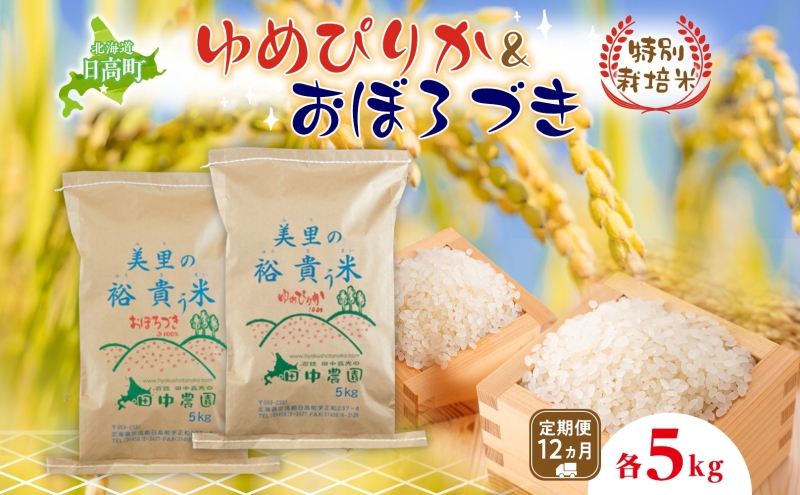 12ヵ月定期便 田中農園 令和6年度 ゆめぴりか＆おぼろづき 各5kg 食べ比べ セット 米 こめ コメ 白米 白飯 ご飯 ごはん ふっくら つややか 豊かな甘み ほどよい粘り 特別栽培 日高町