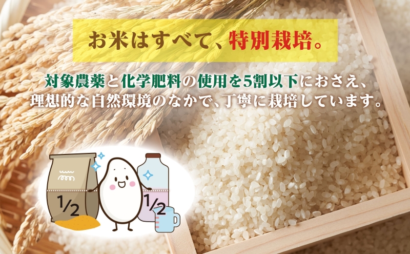 3ヵ月定期便 田中農園 令和6年産 ゆめぴりか 10kg 米 こめ コメ 白米 白飯 ご飯 ごはん ふっくら つややか 豊かな甘み ほどよい粘り 特別栽培 北海道 日高町