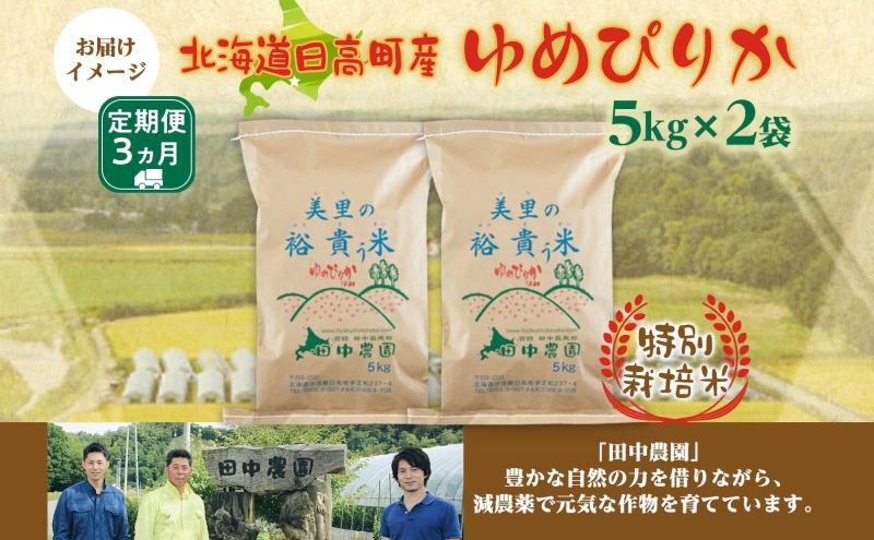 3ヵ月定期便 田中農園 令和6年産 ゆめぴりか 10kg 米 こめ コメ 白米 白飯 ご飯 ごはん ふっくら つややか 豊かな甘み ほどよい粘り 特別栽培 北海道 日高町