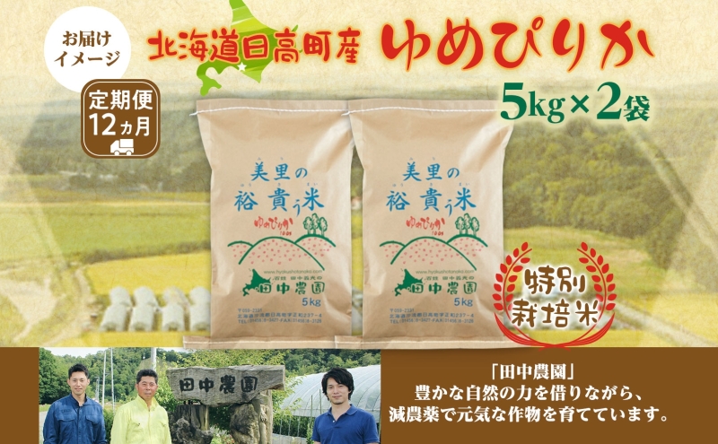 12ヵ月定期便 田中農園 令和6年産 ゆめぴりか 10kg 米 こめ コメ 白米 白飯 ご飯 ごはん ふっくら つややか 豊かな甘み ほどよい粘り 特別栽培 北海道 日高町