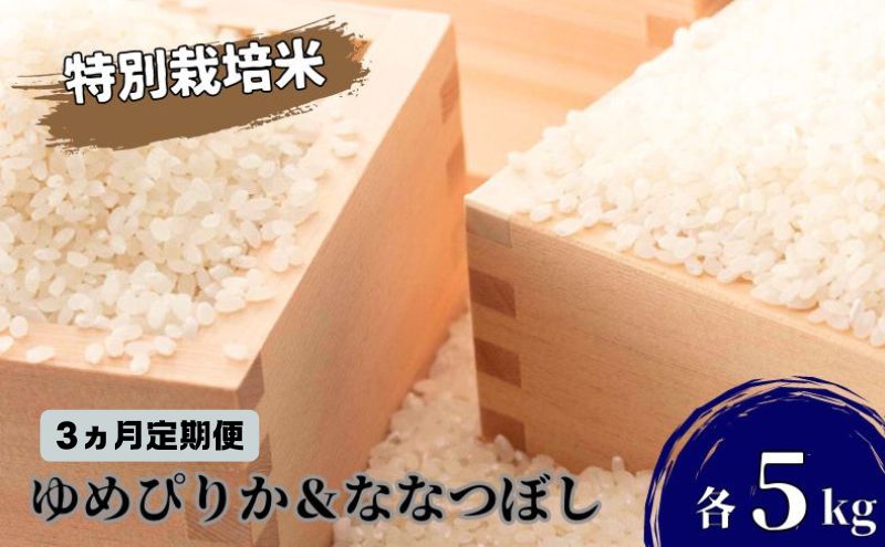 ◆3ヵ月連続お届け お米の定期便◆北海道日高【田中農園】R6年産 ゆめぴりか＆ななつぼし 各5kg 食べ比べ セット 特別栽培米