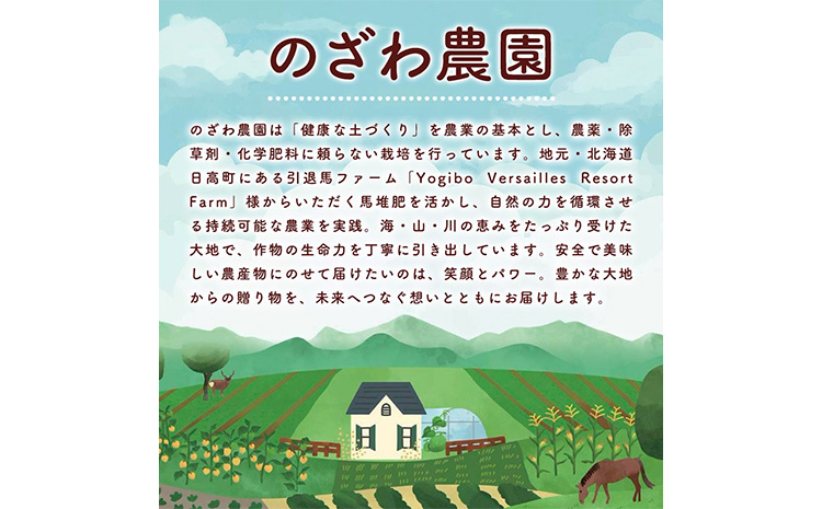 å·åãã«ãŒã ã»ããã 倪éœã®å çŽ1kg ã®ãã蟲åã90æ¥ä»¥å
ã«åºè·äºå®(忥ç¥é€ã)ãåæµ·é æ¥é«çº åžå° ããªãºã