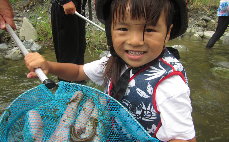 川の生き物探し【体験チケット】体験 チケット 自然 川 釣り 北海道 日高町