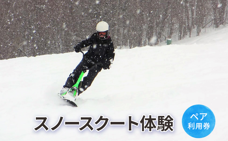 スノースクート体験【体験チケット】体験 チケット 自然 雪 北海道 日高町