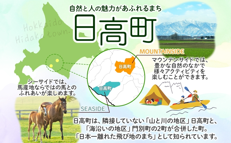 サーモン フィレ 1.5kg 冷凍 真空パック ドナルドサーモン さけ 鮭 刺身 半身 カルパッチョ ムニエル ルイベ マリネ 国産 北海道 日高町