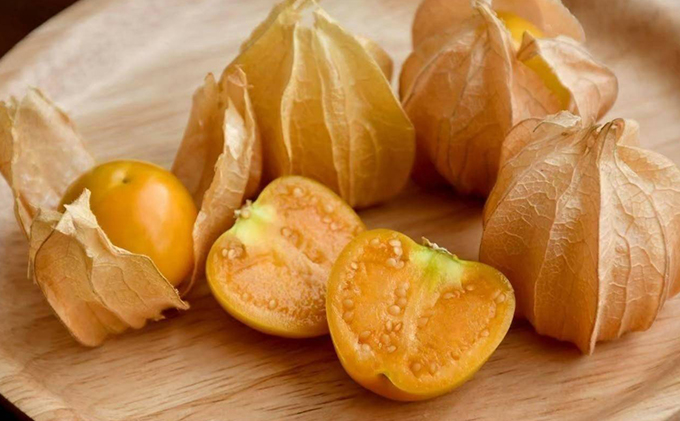 【2026年発送 先行予約】【 のざわ農園 】 フルーツ ほおずき 「 太陽の子 」約500g 北海道 日高産 希少 ホオズキ