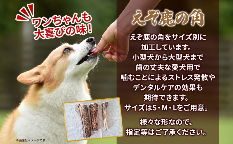 繝壹ャ繝医ョ繝繝ウ繧ソ繝ォ繧ア繧「 縺医◇鮖ソ縺ョ隗 S繧オ繧、繧コ 2蛟 繧ケ繝医Ξ繧ケ逋コ謨」 繝繝ウ繧ソ繝ォ繧ア繧「 縺翫b縺。繧 蛹玲オキ驕 譌・鬮倡伴