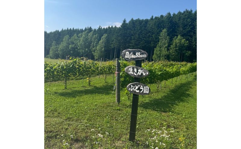 defi 90 ans ワイン1本 750ml 赤ワイン ワイン ギフト 