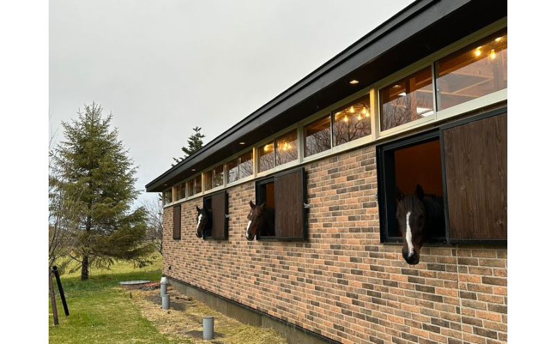 返礼品なし 1万円 Yogiboヴェルサイユリゾートファーム 牧場 引退馬 馬 支援 yogibo Versailles Resort Farm 北海道 日高町