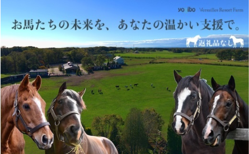 返礼品なし 100万円 Yogiboヴェルサイユリゾートファーム 牧場 引退馬 馬 支援 yogibo Versailles Resort Farm 北海道 日高町