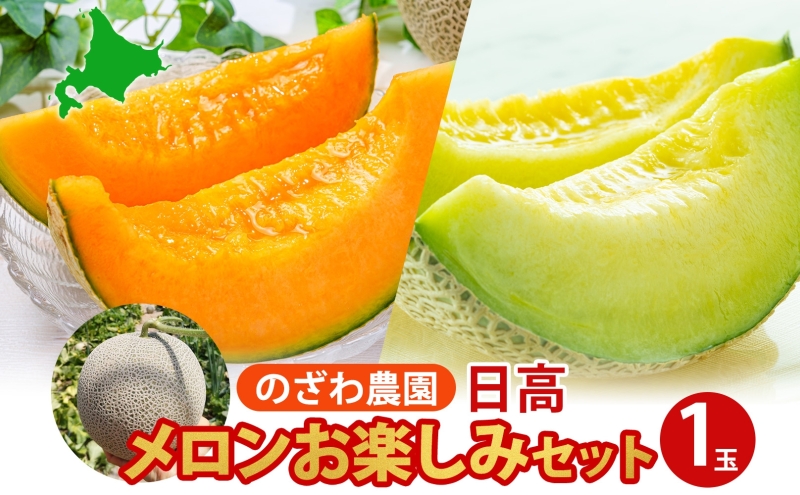 【2026年発送 先行予約】のざわ農園 日高 赤肉メロン 1玉 めろん メロン 赤い 青い 甘い 夏 フルーツ 果実 ルピアレッド 糖度 甘み 濃厚 肥料 贈り物 お中元 お歳暮 常温 冷蔵庫 家族 デザート のざわ農園 北海道 日高町