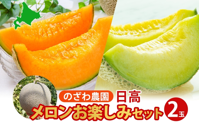 【2026年発送 先行予約】のざわ農園 日高 赤肉メロン 2玉 めろん メロン 赤い 青い 甘い 夏 フルーツ 果実 ルピアレッド 糖度 甘み 濃厚 肥料 贈り物 お中元 お歳暮 常温 冷蔵庫 家族 デザート のざわ農園 北海道 日高町