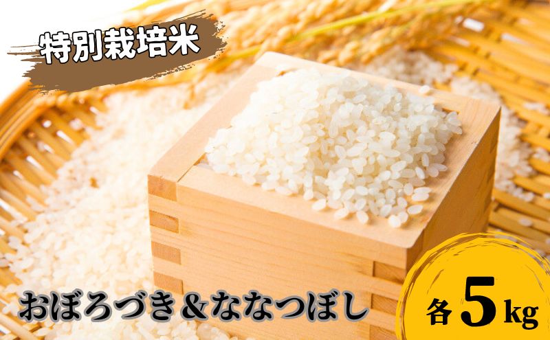 北海道 日高【田中農園】R7年産 おぼろづき ＆ ななつぼし 各5kg 食べ比べ セット 特別栽培米