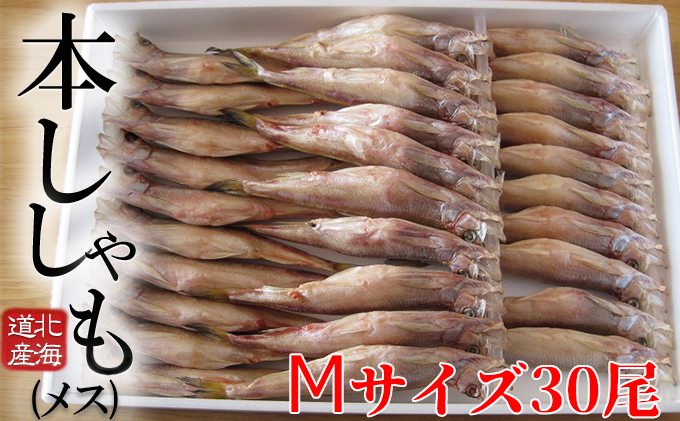 北海道産 阿部水産 ししゃも M 30尾セット 本ししゃも 雌 メス 魚卵 卵 たまご タマゴ子持ち 北海道土産 季節限定 ほくほく 子魚 無添加 クール便 冷凍 送料無料 北海道 日高町