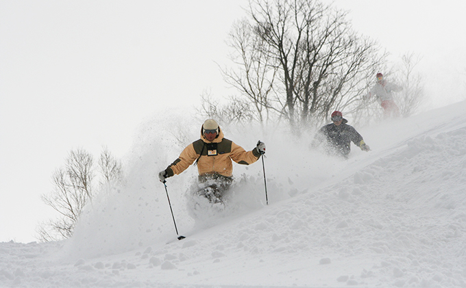 日高国際スキー場・大人ナイター共通シーズン券