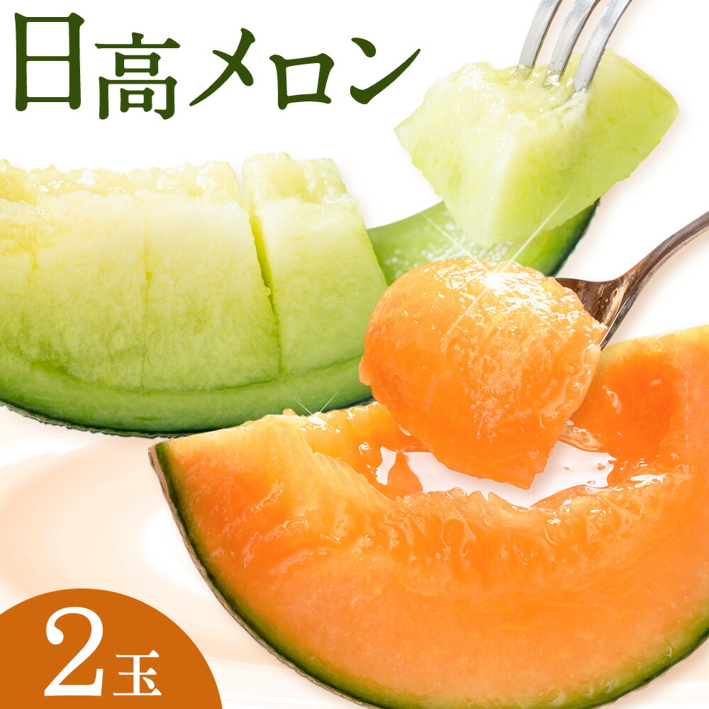 先行予約 日高メロン 2玉 のざわ農園 《7月上旬-8月中旬出荷》2026年 7月出荷 北海道 日高町産 赤肉メロン 青肉メロン 旬 果物 フルーツ めろん デザート 産地直送 お取り寄せ グルメ 贈り物 ギフト 贈答用 プレゼント 送料無料 