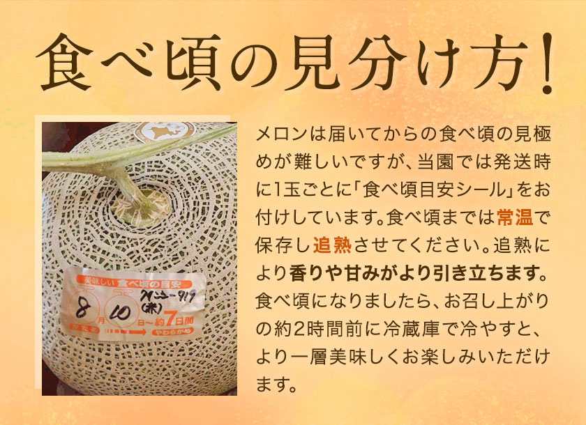 先行予約 日高メロン 4-6玉 約8-9kg のざわ農園 《7月上旬-8月中旬出荷》2026年 7月出荷 北海道 日高町産 赤肉メロン 青肉メロン 旬 果物 フルーツ めろん デザート 産地直送 お取り寄せ グルメ 贈り物 ギフト 贈答用 プレゼント 送料無料 