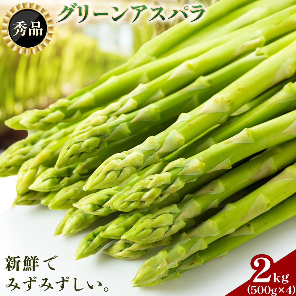 アスパラガス 秀品 アスパラ グリーンアスパラ 2L サイズ 2kg (500g×4) 門別町農業協同組合(生活資材課)《4月上旬-5月末頃出荷》北海道 日高町 送料無料 春野菜 春 朝採り 朝採れ お取り寄せ