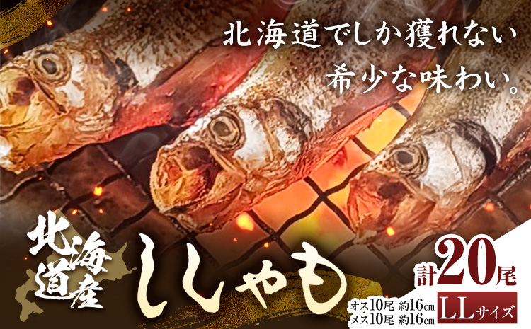 蛹玲オキ驕鍋肇 縺励@繧繧 LL20蟆セ繧サ繝繝茨シ医が繧ケ10蟆セ繝。繧ケ10蟆セシ画怏髯蝉シ夂、セ髦ソ驛ィ豌エ逕」縲30譌・莉・蜀縺ォ蜃コ闕キ莠亥ョ(蝨滓律逾晞勁縺)縲句圏豬キ驕 譌・鬮倡伴 蝗ス逕」 鬲 繧キ繧キ繝」繝「 鬲壻サ 豬キ魄ョ 繧ー繝ォ繝。 鬟溘∋迚ゥ