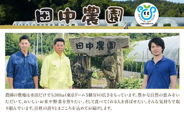 莉、蜥7蟷エ逕」 繧繧√エ繧翫° 10kg 5kgテ2陲 逕ー荳ュ霎イ蝨偵90譌・莉・蜀縺ォ蜃コ闕キ莠亥ョ(蝨滓律逾晞勁縺)縲句圏豬キ驕 譌・鬮倡伴 邀ウ 逋ス邀ウ 邊セ邀ウ 縺顔アウ 蛹玲オキ驕捺律鬮倡伴