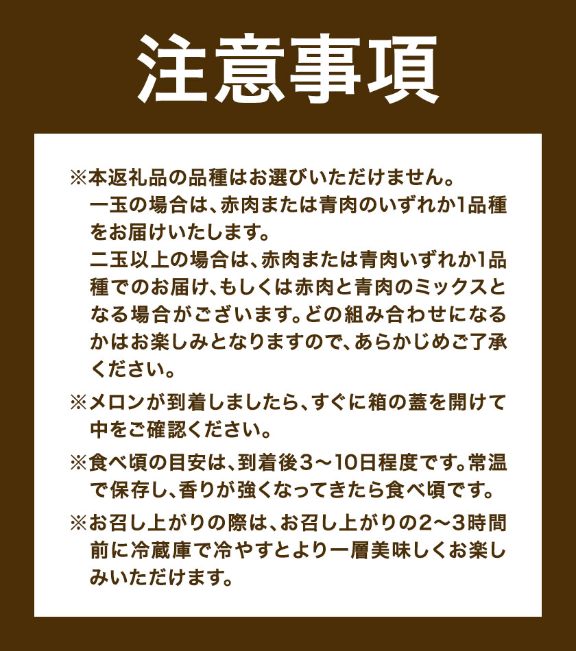 先行予約 日高メロン 1玉 のざわ農園 《7月上旬-8月中旬出荷》2026年 7月出荷 北海道 日高町産 赤肉メロン 青肉メロン 旬 果物 フルーツ めろん デザート 産地直送 お取り寄せ グルメ 贈り物 ギフト 贈答用 プレゼント 送料無料 