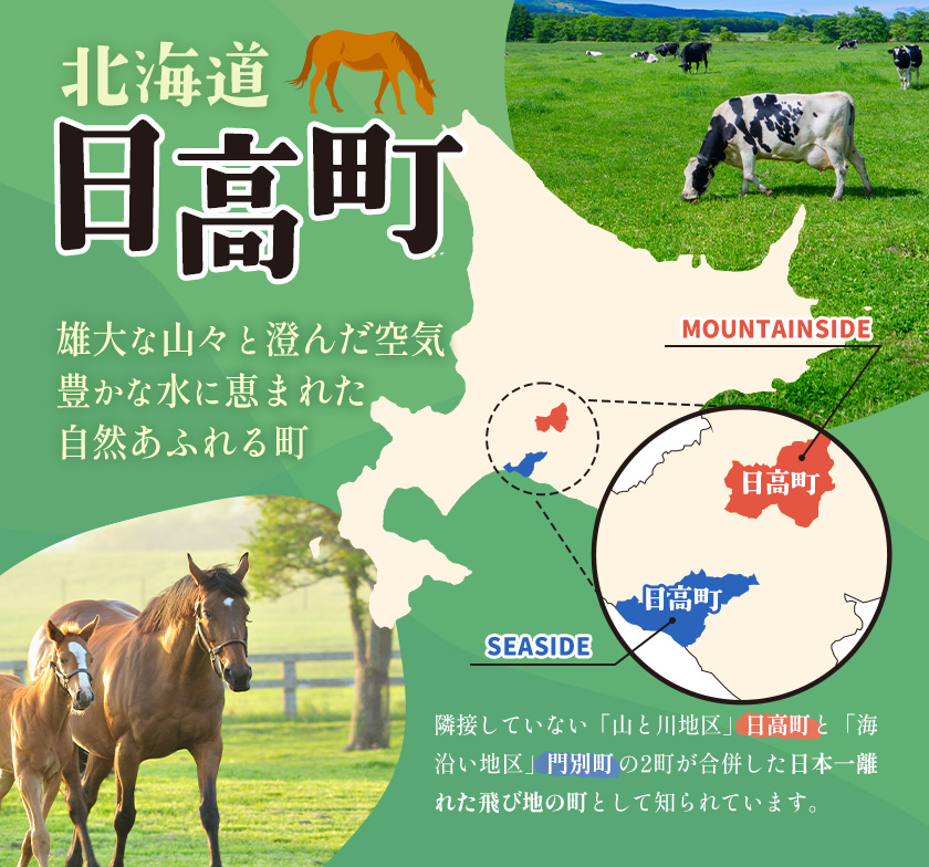 【お歳暮のし付き】チーズセットB 計5種 チーズ工房1103《90日以内に出荷予定(土日祝除く)》ストリング拓 ストリング日高 味噌チー カチョカバロ 生カマンベール チーズ チーズセット 乳製品 送料無料 ギフト 贈り物 北海道 日高町