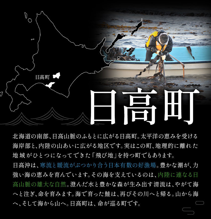 丸金特製 鮭とば 2種 計2袋 プレーン1袋 ちょい辛1袋 1袋80g 株式会社丸金金村商店《90日以内に出荷予定(土日祝除く)》北海道 日高町 鮭 サケ 切り身 ノンスモーク 風干し 漬け込み 珍味 七味 つまみ【配送不可地域あり】（離島）