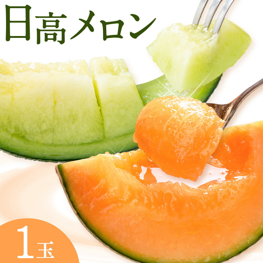 先行予約 日高メロン 1玉 のざわ農園 《7月上旬-8月中旬出荷》2026年 7月出荷 北海道 日高町産 赤肉メロン 青肉メロン 旬 果物 フルーツ めろん デザート 産地直送 お取り寄せ グルメ 贈り物 ギフト 贈答用 プレゼント 送料無料 