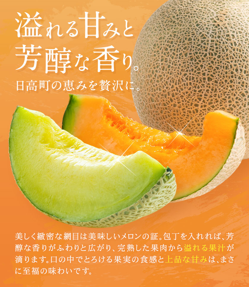 先行予約 日高メロン 1玉 のざわ農園 《7月上旬-8月中旬出荷》2026年 7月出荷 北海道 日高町産 赤肉メロン 青肉メロン 旬 果物 フルーツ めろん デザート 産地直送 お取り寄せ グルメ 贈り物 ギフト 贈答用 プレゼント 送料無料 