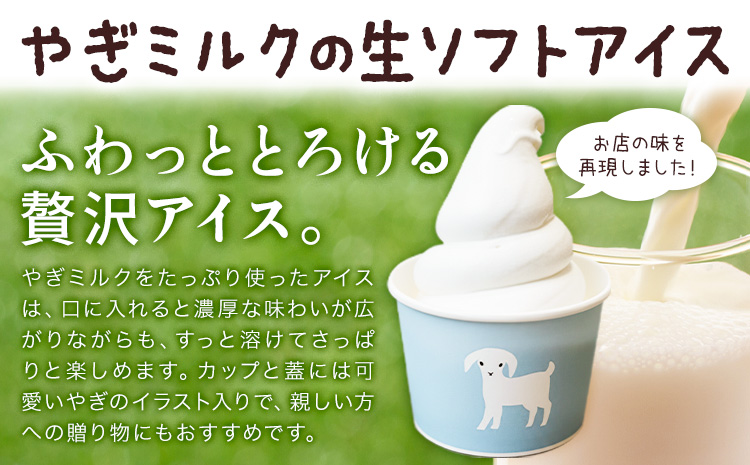 アイス ミルク やぎミルクの生ソフトアイス ミルク味 130ml 6個 《7-14日以内に出荷予定(土日祝除く)》 プティ・シェーヴル北海道 北海道 日高町 お菓子 スイーツ やぎ