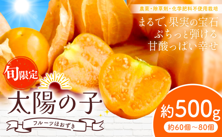 【2026年発送 先行予約】フルーツ ほおずき 太陽の子 約500g のざわ農園《10月上旬-11月上旬頃出荷》北海道 日高町 希少 ホオズキ