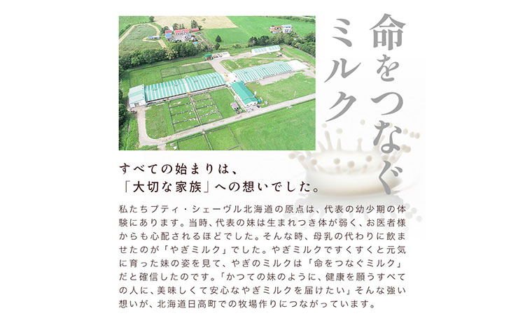アイス ミルク やぎミルクの生ソフトアイス ミルク味 130ml 12個 《90日以内に出荷予定(土日祝除く)》 プティ・シェーヴル北海道 北海道 日高町 お菓子 スイーツ やぎ