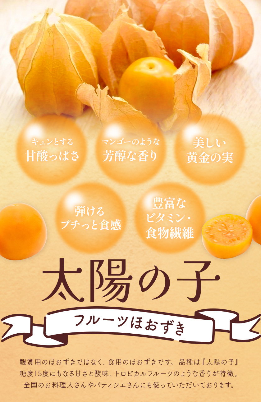 冷凍フルーツ ほおずき 太陽の子 約1kg のざわ農園《90日以内に出荷予定(土日祝除く)》北海道 日高町 希少 ホオズキ