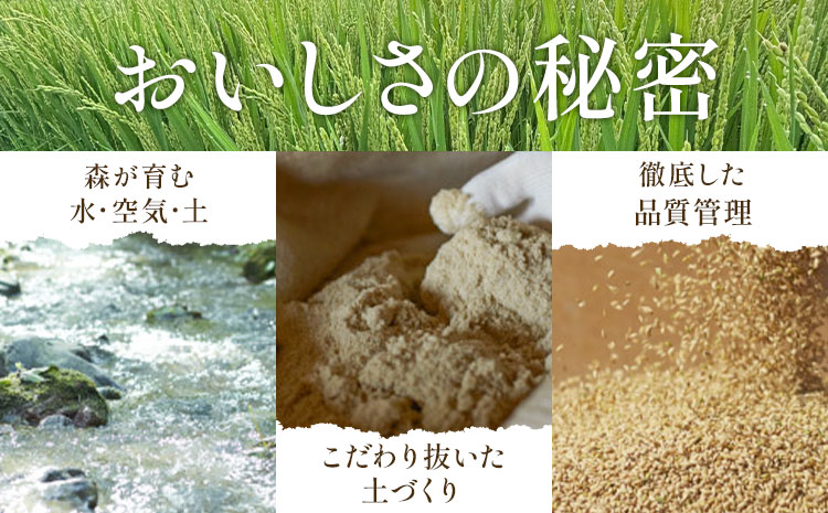 莉、蜥7蟷エ逕」 繧繧√エ繧翫° 10kg 5kgテ2陲 逕ー荳ュ霎イ蝨偵90譌・莉・蜀縺ォ蜃コ闕キ莠亥ョ(蝨滓律逾晞勁縺)縲句圏豬キ驕 譌・鬮倡伴 邀ウ 逋ス邀ウ 邊セ邀ウ 縺顔アウ 蛹玲オキ驕捺律鬮倡伴