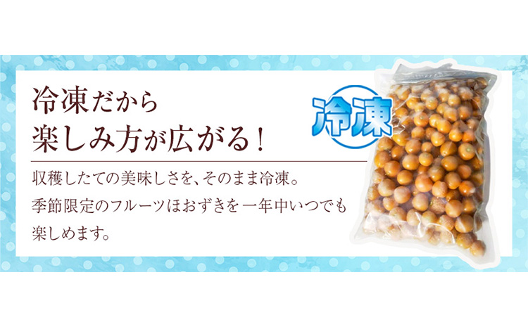 å·åãã«ãŒã ã»ããã 倪éœã®å çŽ1kg ã®ãã蟲åã90æ¥ä»¥å
ã«åºè·äºå®(忥ç¥é€ã)ãåæµ·é æ¥é«çº åžå° ããªãºã