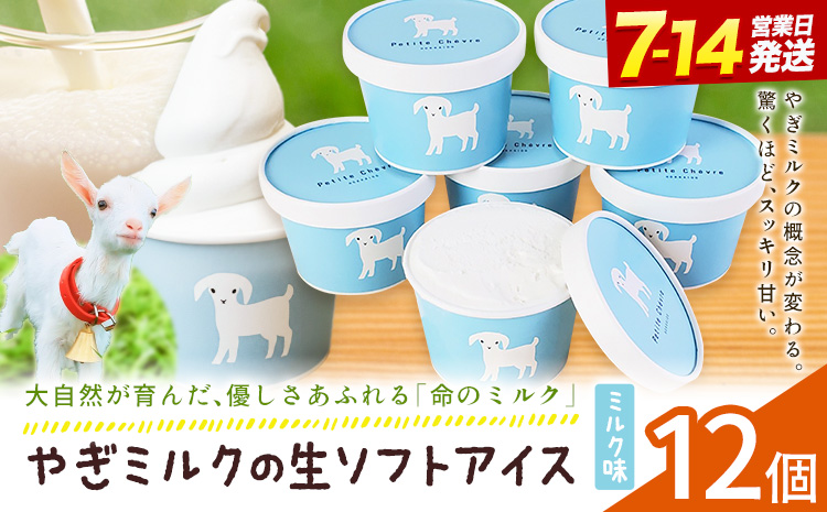 アイス ミルク やぎミルクの生ソフトアイス ミルク味 130ml 12個 《7-14日以内に出荷予定(土日祝除く)》 プティ・シェーヴル北海道 北海道 日高町 お菓子 スイーツ やぎ