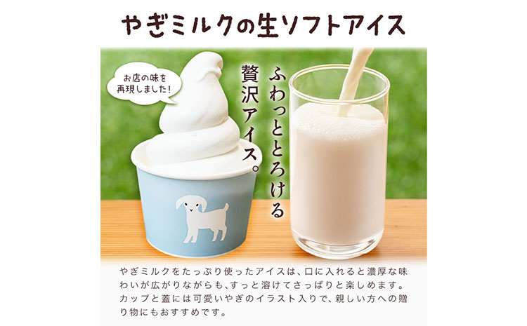 アイス ミルク やぎミルクの生ソフトアイス ミルク味 130ml 12個 《90日以内に出荷予定(土日祝除く)》 プティ・シェーヴル北海道 北海道 日高町 お菓子 スイーツ やぎ