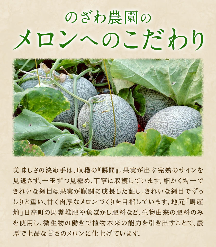 先行予約 日高メロン 4-6玉 約8-9kg のざわ農園 《7月上旬-8月中旬出荷》2026年 7月出荷 北海道 日高町産 赤肉メロン 青肉メロン 旬 果物 フルーツ めろん デザート 産地直送 お取り寄せ グルメ 贈り物 ギフト 贈答用 プレゼント 送料無料 