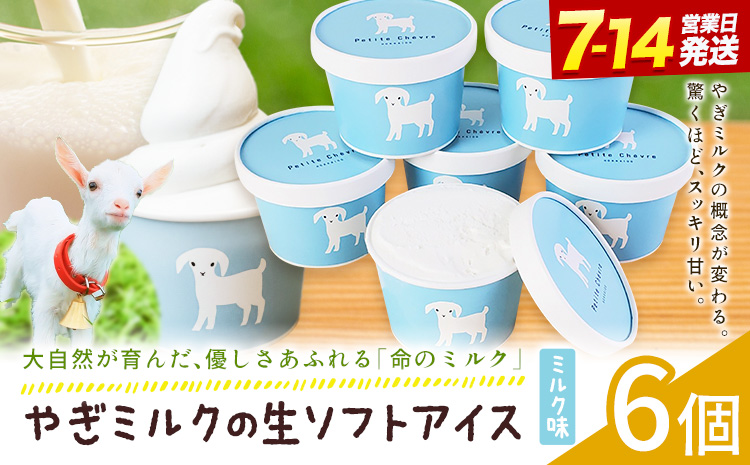 アイス ミルク やぎミルクの生ソフトアイス ミルク味 130ml 6個 《7-14日以内に出荷予定(土日祝除く)》 プティ・シェーヴル北海道 北海道 日高町 お菓子 スイーツ やぎ